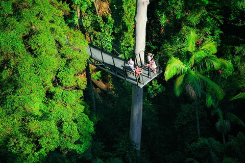 The Best Of Tamborine Mountain From The Gold Coast - Accommodation Gladstone 4