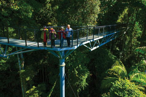 The Best Of Tamborine Mountain From The Gold Coast - Accommodation Gladstone 7
