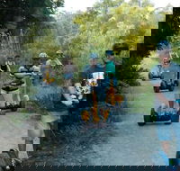 Gold Coast Segway Safari Adventure 60-minutes - Accommodation Gladstone