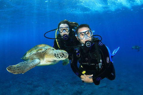 3-Day Open Water Certification Course On The Gold Coast - Accommodation Gladstone 1
