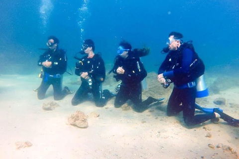 3-Day Open Water Certification Course On The Gold Coast - Accommodation Gladstone 2