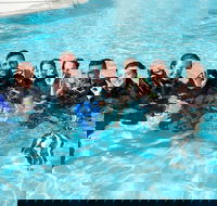 3-Day Open Water Certification Course on the Gold Coast - Accommodation Gladstone
