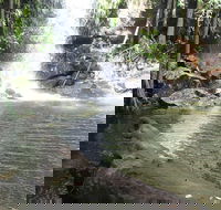 The Gold ExperiencePrivate Day Tour In Lamington National Park or Mt Tambourine - Accommodation Gladstone