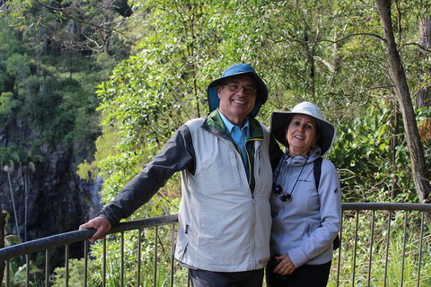 The Gold Experience:Private Day Tour In Lamington National Park Or Mt Tambourine - Accommodation Gladstone 1