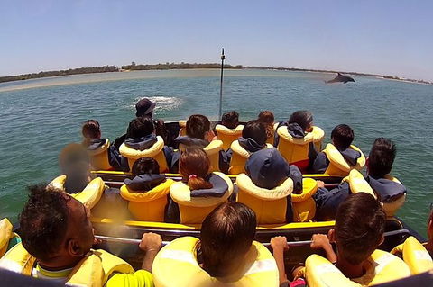 Jet Boat Express Ride - 30mins - Accommodation Gladstone 2