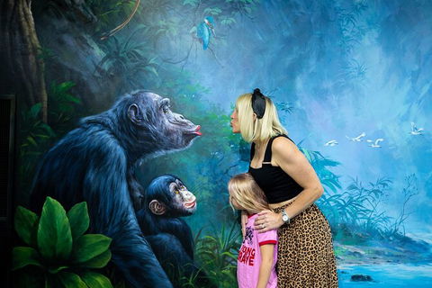 ArtVo Gold Coast - Queensland\'s First \'trick Art\' Gallery - Accommodation Gladstone 5