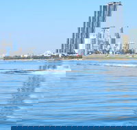 1hr Jet Ski Safari - Accommodation Gladstone
