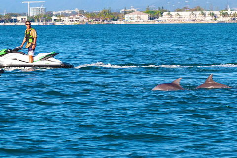 1hr Jet Ski Safari - Accommodation Gladstone 4
