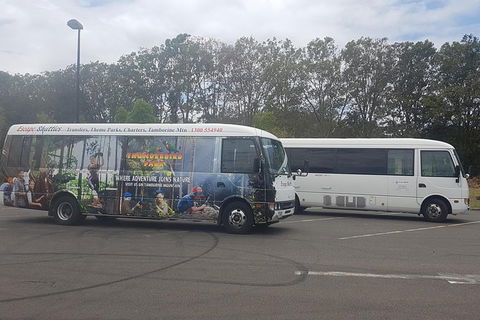 Gold Coast Airport Shared Arrival Shuttle Service With Wheelchair Access - Accommodation Gladstone 0