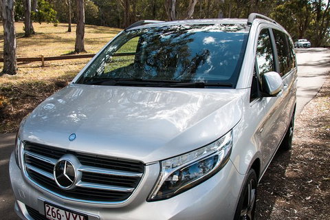 Private Charter - Half Day - 1 To 7 Passengers - Accommodation Gladstone 2
