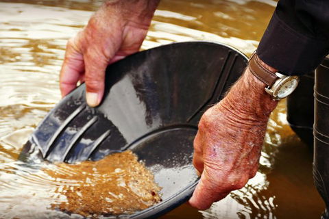 4-Day Australian Outback Tour From The Gold Coast To Sydney - Accommodation Gladstone 1
