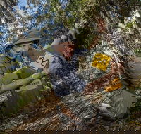 4-Day Australian Outback Tour from the Gold Coast to Sydney - Accommodation Gladstone