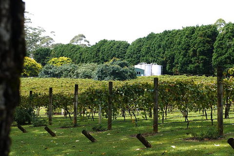 Birthday Tour - Accommodation Gladstone 6