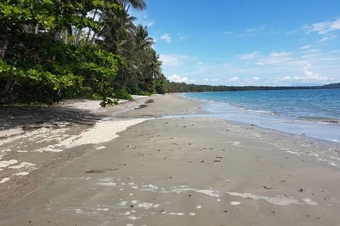 Airport Transfers Between Cairns Airport And Palm Cove - Accommodation Gladstone 2