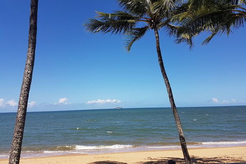 Airport Transfers Between Cairns Airport And Palm Cove - Accommodation Gladstone 8