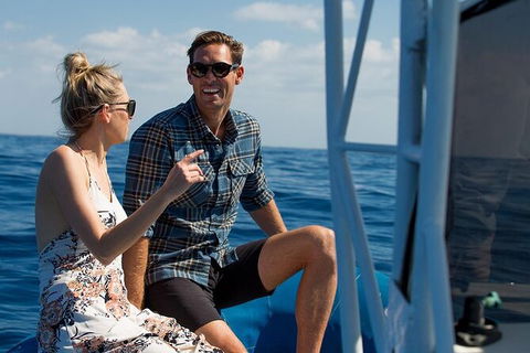 Private Tangalooma Wrecks Tour - Accommodation Gladstone 2