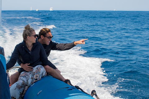 Private Tangalooma Wrecks Tour - Accommodation Gladstone 7