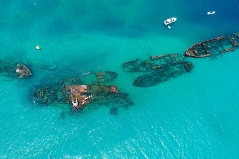 Private Tangalooma Wrecks Tour - Accommodation Gladstone 6
