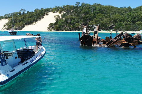 Private Tangalooma Wrecks Tour - Accommodation Gladstone 5