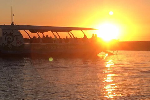 Milbi Sunset Cruise With Local Aboriginal Guide - Accommodation Gladstone 3