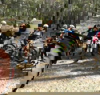 Gold Coast Mountain Bike Tour - Accommodation Gladstone
