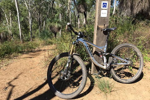Gold Coast Mountain Bike Tour - Accommodation Gladstone 1