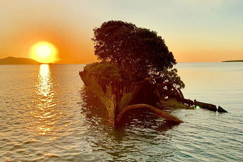 Aquascene Magnetic Island Sunset & Shipwreck Tour - Accommodation Gladstone 3