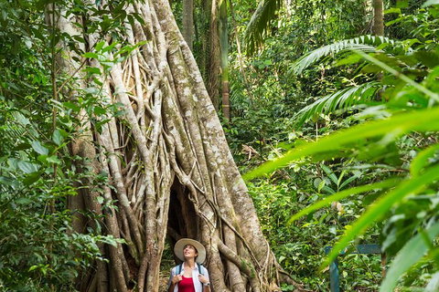Rainforest To Reef Experience - Reef And Beyond Guided Holidays - Accommodation Gladstone 2