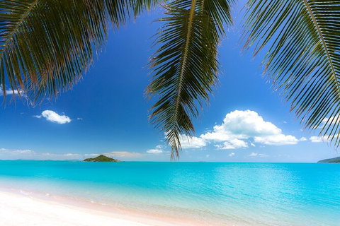 Rainforest To Reef Experience - Reef And Beyond Guided Holidays - Accommodation Gladstone 1