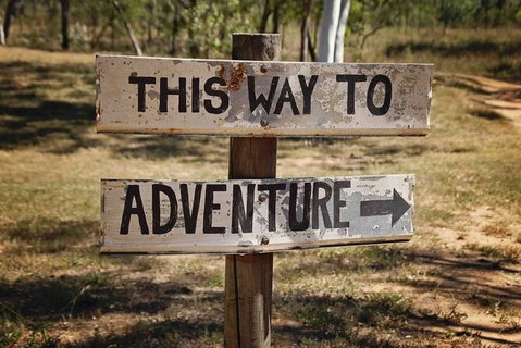 Rainforest To Reef Experience - Reef And Beyond Guided Holidays - Accommodation Gladstone 6
