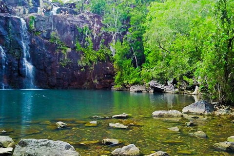 Rainforest To Reef Experience - Reef And Beyond Guided Holidays - Accommodation Gladstone 5