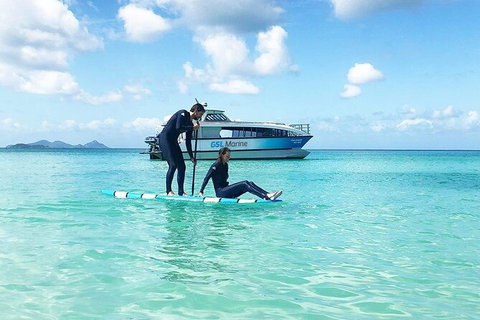 Rainforest To Reef Experience - Reef And Beyond Guided Holidays - Accommodation Gladstone 3
