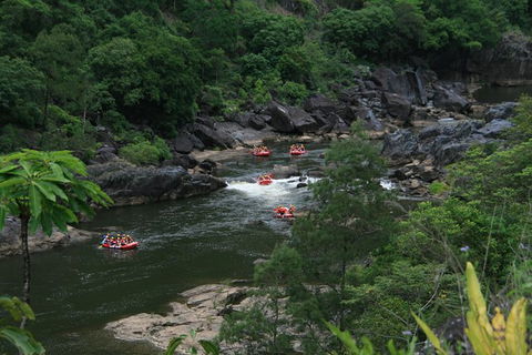 Cairns Adventure Package- 4 Tours In 3 Days! - Accommodation Gladstone 3