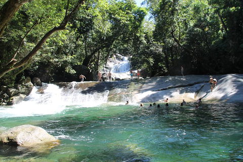Cairns Adventure Package- 4 Tours In 3 Days! - Accommodation Gladstone 7