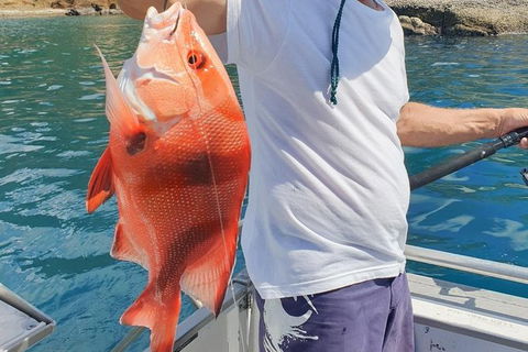 Adventure Fishing Combo Day - Fish, Swim, Whitehaven, Hill Inlet Bush Walking - Accommodation Gladstone 2