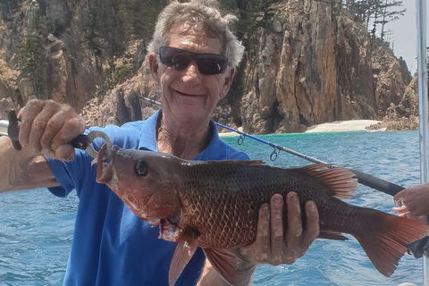Adventure Fishing Combo Day - Fish, Swim, Whitehaven, Hill Inlet Bush Walking - Accommodation Gladstone 10