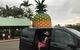 Private Transfer From Sunshine Coast Airport To Noosa For 1 To 4 People - thumb 3