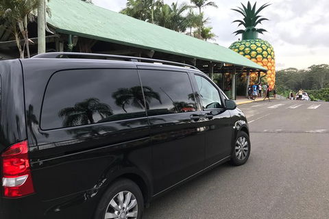 Private Transfer From Sunshine Coast Airport To Noosa For 1 To 4 People - Accommodation Gladstone 6