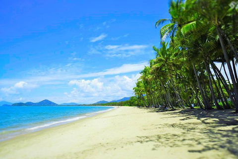 Airport Transfer - Palm Cove, Kewarra Beach & Trinity Beach To Cairns Airport - Accommodation Gladstone 2