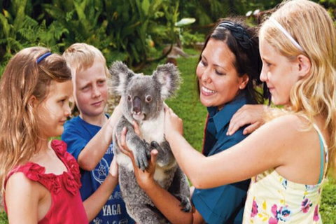 Kuranda Day Tour + HotAir Balloon Combo - Accommodation Gladstone 9