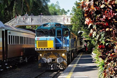 Kuranda Day Tour + HotAir Balloon Combo - Accommodation Gladstone 3