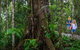 Kuranda Day Tour + HotAir Balloon Combo - thumb 11