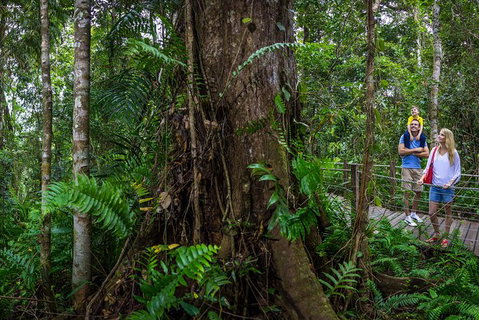 Kuranda Day Tour + HotAir Balloon Combo - Accommodation Gladstone 11
