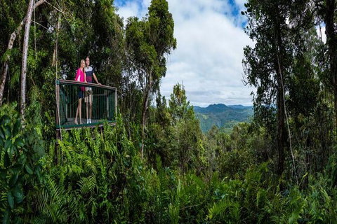 Kuranda Day Tour + HotAir Balloon Combo - Accommodation Gladstone 6