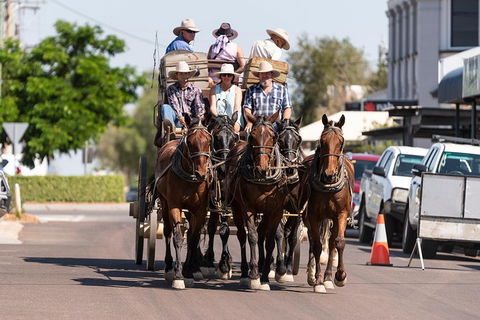 Cobb And Co Stagecoach Experience - Accommodation Gladstone 6