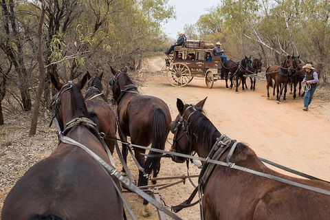 Cobb And Co Stagecoach Experience - Accommodation Gladstone 1
