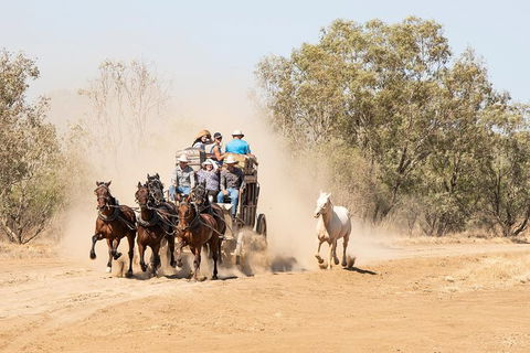 Cobb And Co Stagecoach Experience - Accommodation Gladstone 0