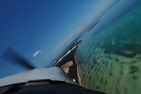 Bay Island Tour - Scenic Flight - Accommodation Gladstone 7