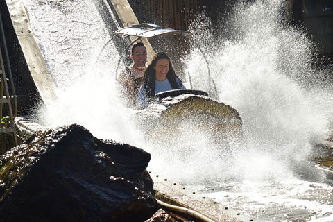 Theme Park Transfers From Brisbane - Accommodation Gladstone 4