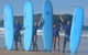 3.5-Hour Ultimate Learn To Surf Adventure - thumb 1